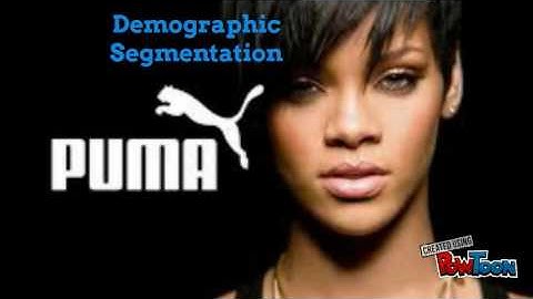 Market  Segmentation