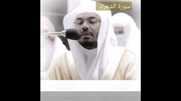 تلاوة خاشعة من سورة الشعراء (وما اضلنا إلا المجرمون) للشيخ ياسر الدوسري