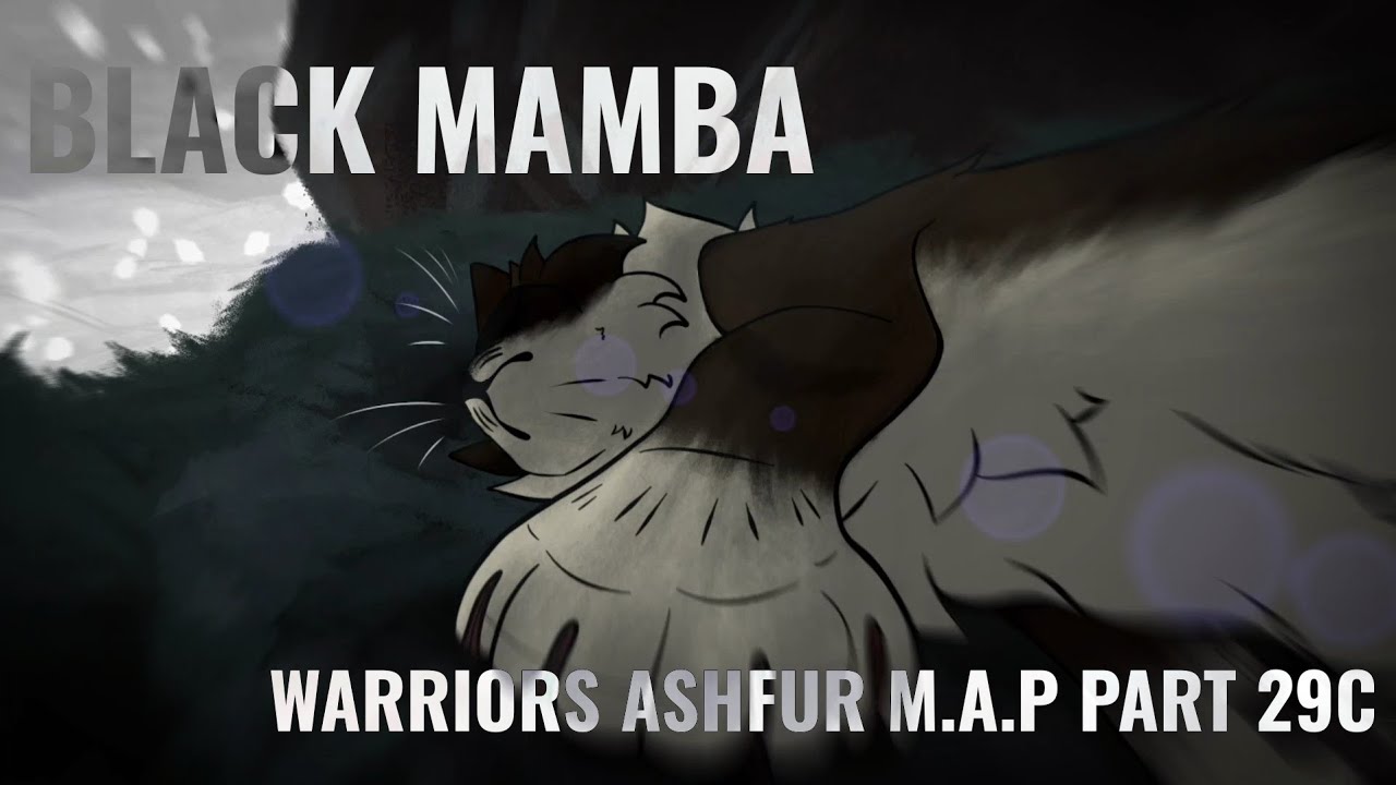BLACK MAMBA // MAP PART 29C
