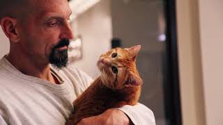 PRISON CAT | FOLLOW UP WITH CRAIG & GALILEO | THE CATS THAT RULE THE WORLD | SHEBA®