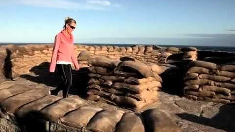 Paul Selwood and Alessandra Rossi at Sculpture by the Sea 2011