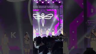 DALAWA by KAIA at KWAVE Music Festival 05.11.2024