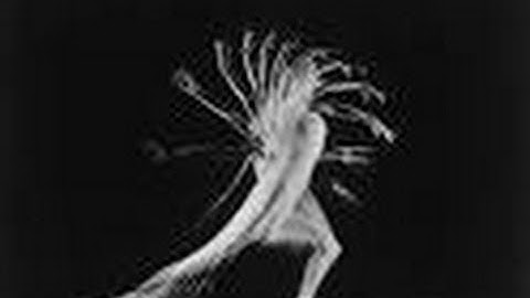 Essential Embodied Tools - Changing movement patterns