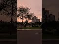 PASANDO de BARRANCO A MIRAFLORES DESDE EL BUS DE TRANSPORTE PUBLICO 🚌 en LIMA ☀ Verano 2026