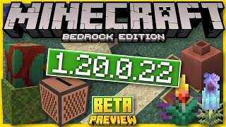 1.20.0.22 BETA OUT NOW! ⚒️ Music + Sand + Dye 🍌 Minecraft Bedrock Preview ✅Changelog