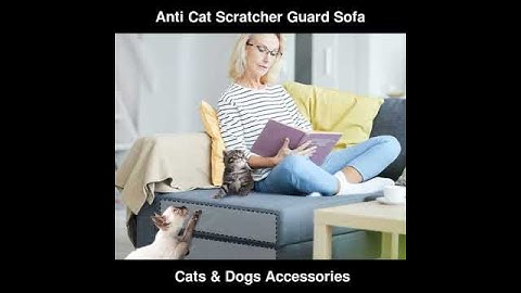 Anti Cat Scratcher Guard Cat Scratching Furniture Couch Sofa Protector Cat | Cats & Dogs Accessories