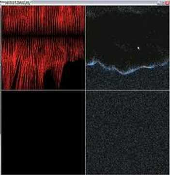 Particle flow warping - vector field interpolation