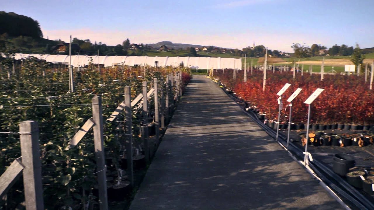 Glausers Bio Baumschule in Noflen