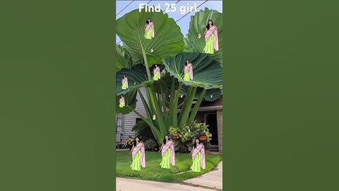 #dancinggirl #shortsfeed #trending #assamtezpur #wgitachi #song #shorts #trend #viral #gta5 #flyxo👀🤔