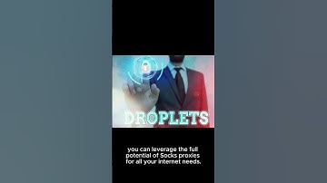 Understanding Socks Proxies: A Guide by Your Global IP Proxy Agency