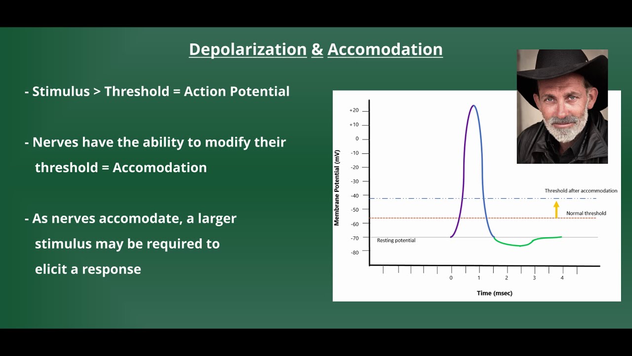 How Do You Explain Electrical Stimulation To Patients?