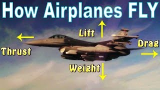 Ep. 5: How Airplanes Fly | The Four Forces of FLIGHT!