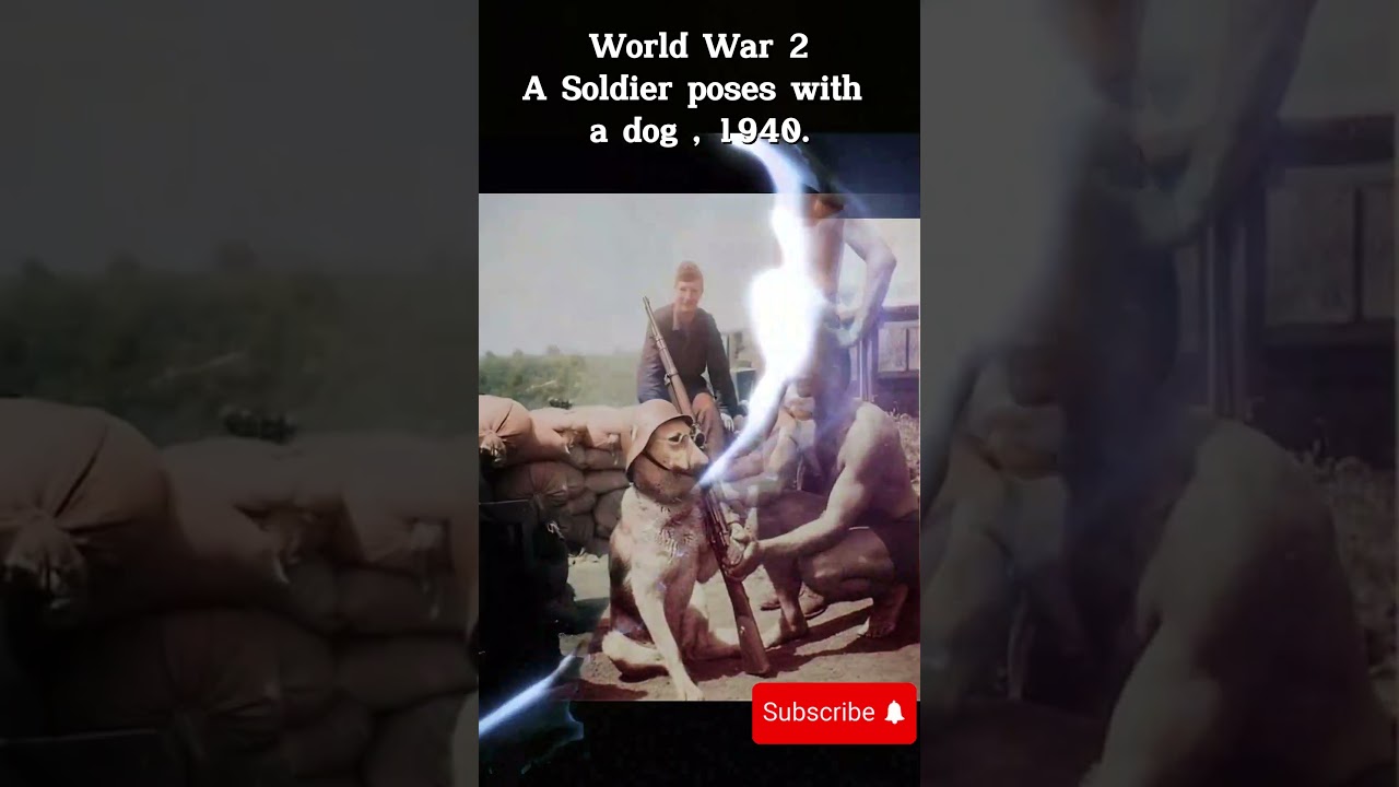 Colorized History World War II Photo. A Soldier Poses With A Dog  , 1940