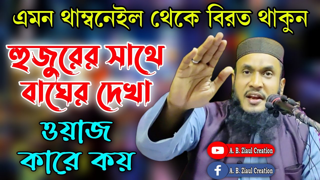 Maulana Ali Ahmed || Bangla New Waz || মওলানা আলি আহমেদ || A. B. Ziaul Creation