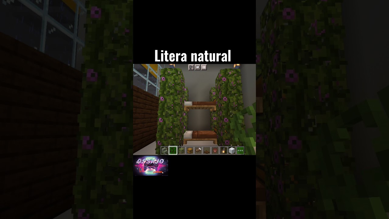 Litera natural, ideas creativas | Minecraft #minecraft #ossajo #gamer #fyp #fypシ #xyzbca