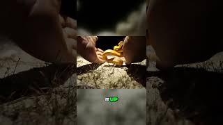 Conquer Your Fear Fearlessly Handle Snakes Like a Pro