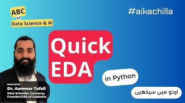 Quick EDA analysis in python #aikachilla  #ai #urduhinditutorial