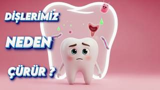 Dişlerimiz Neden Çürür? | Çocuklar İçin Eğitici Animasyon 🦷