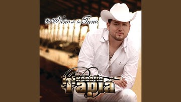 El Gallo De Sinaloa