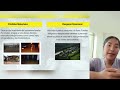Análisis sobre el vídeo de Desarrollo Urbano de ciudades sostenibles de América Latina y el Caribe