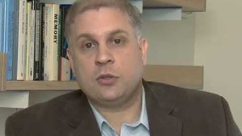 Risky Decisions: A Role for Rostrolateral PFC