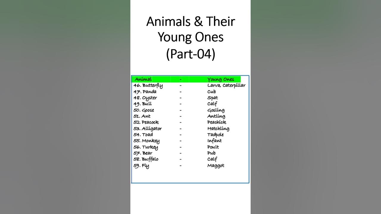 animals-animals-and-their-young-ones-name-of-animal-and-their-babies