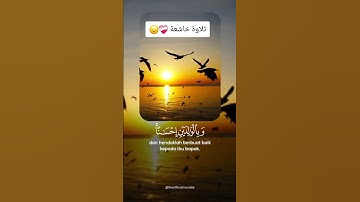 #اللهم_صلي_على_نبينا_محمد تلاوة خاشعة تريح القلب #اكسبلور #iphone17