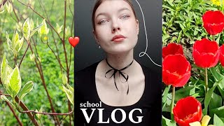 : school vlog //  