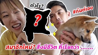 กันต์เอง - สมาชิกใหม่...สิ่งมีชีวิตที่เรียกว่า.....?