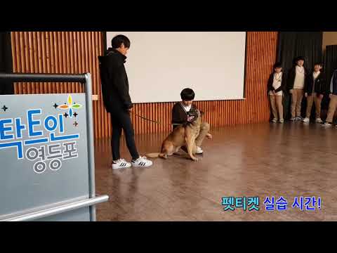 반려동물전문가 직업체험 with 한국미래진로센터