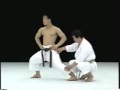 Rotation de hanche par sensei kagawa