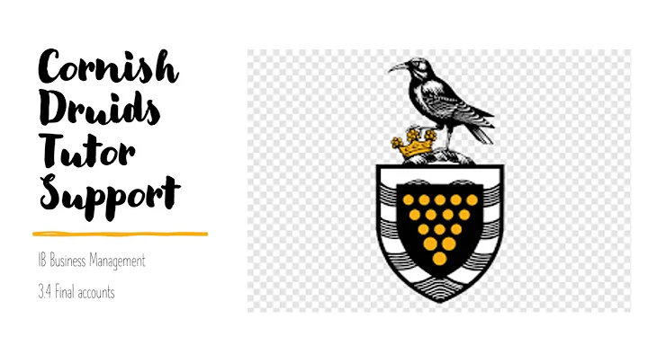 IB Business Management 3 4 Financial Statement