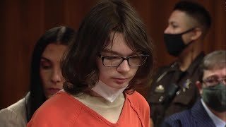 Michigan teen pleads guilty to Oxford school shooting
