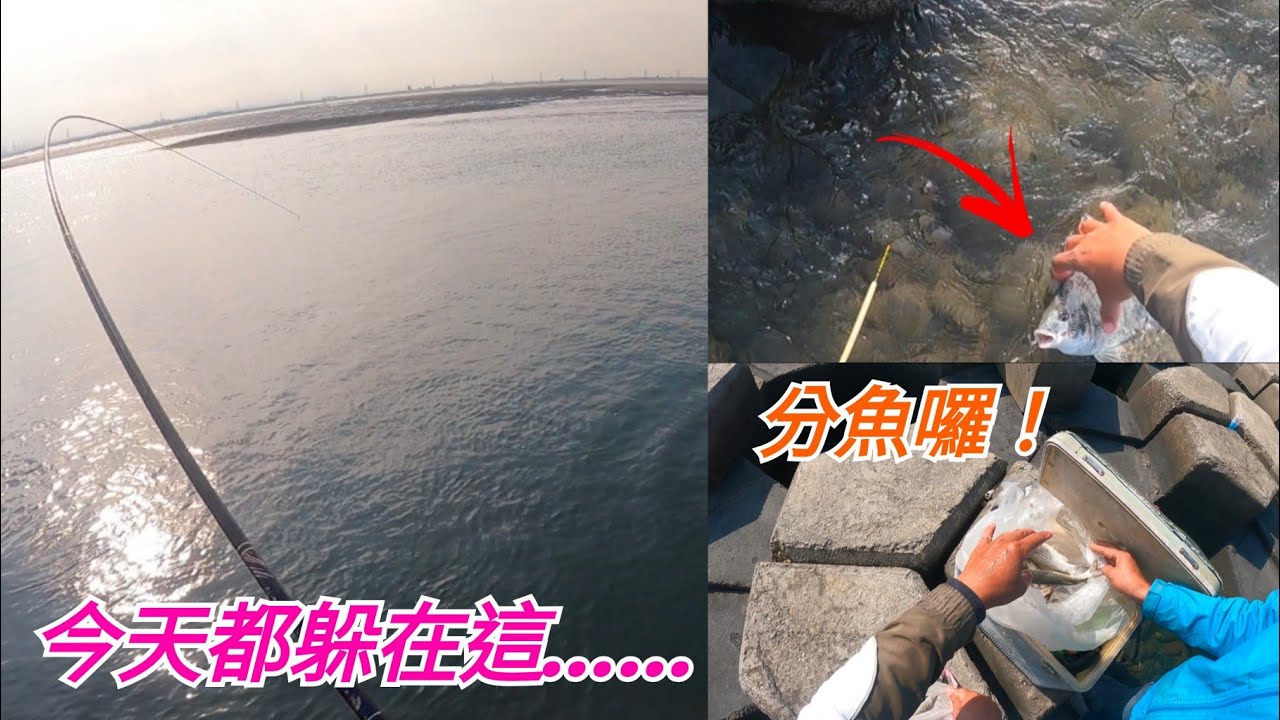 淺淺一處竟然躲不少肥鯛，連拉好幾下，還有魚可以分享給釣友，真是愉快