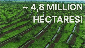 How Water Catchment Sparked Regreening Across Thousands of Villages