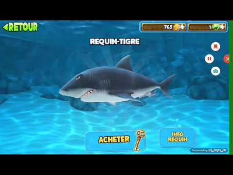 jeux de requin