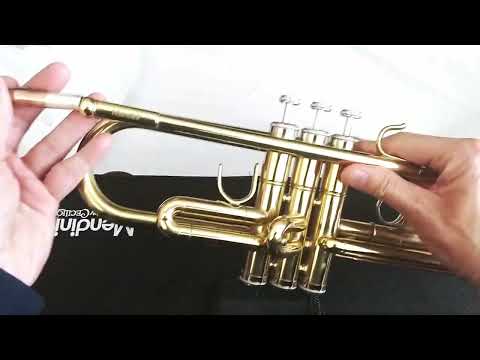 cecilio instruments reviews