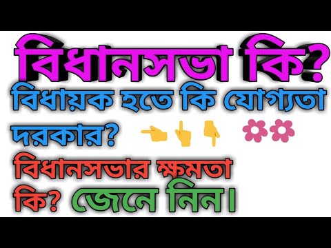 ভিডিও: একজন রাজ্য বিধায়ক কী করেন?