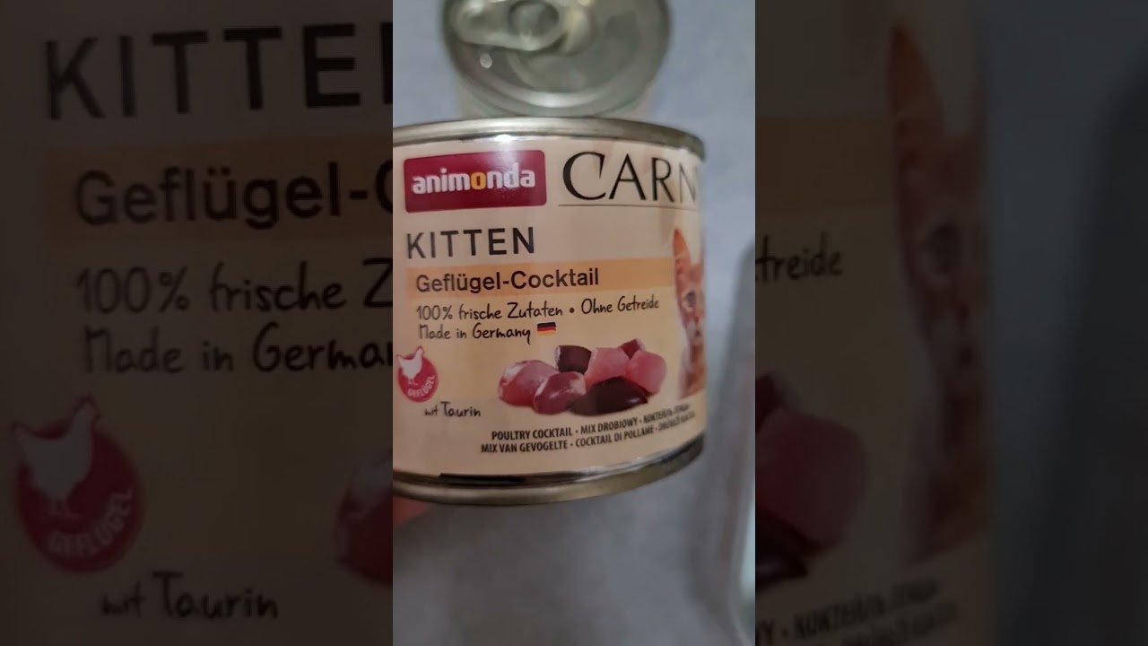 Обзор на влажный корм и его состав/ Carny от Animonda Rind Huhn+Kaninchen und Geflügel Coctail.