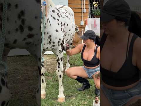 Heartwarming Animal Rescue That Will Restore Your Faith in Humanity part 51