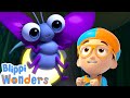 Giant Fireflies in the Night Sky | Blippi Wonders | Cartoons for Kids - Explore With Me!