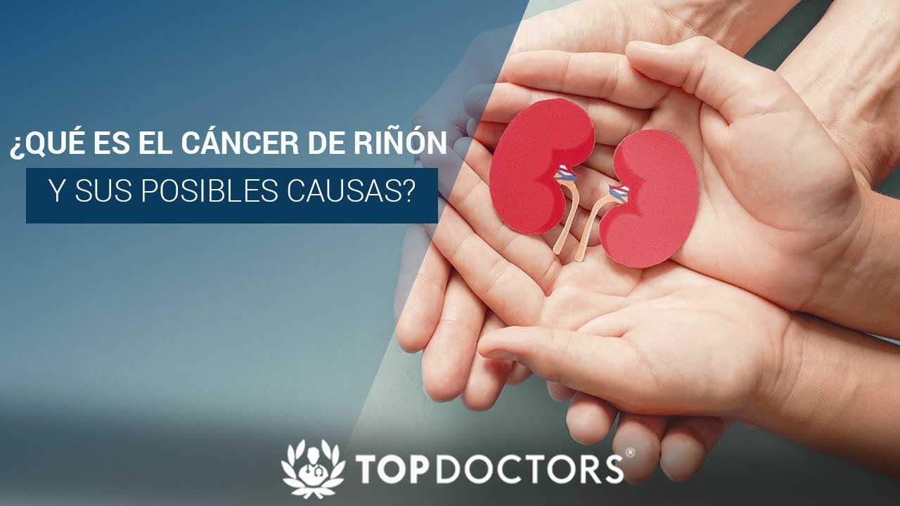 Cáncer De Riñón: Tipos De Tratamiento – YSREG