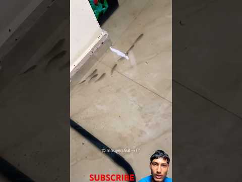 Girl Got Unexpected