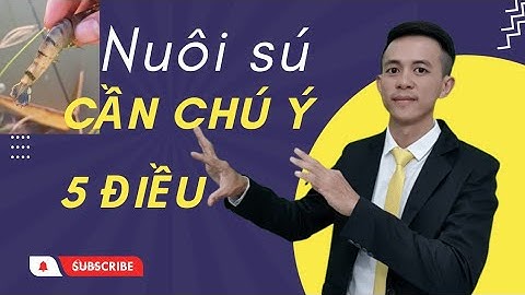 NUÔI SÚ CẦN CHÚ Ý 5 ĐIỀU NÀY.