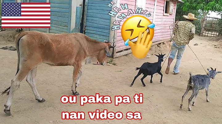 Siw gen fodan pa gade video sa wap telman ri wap m...