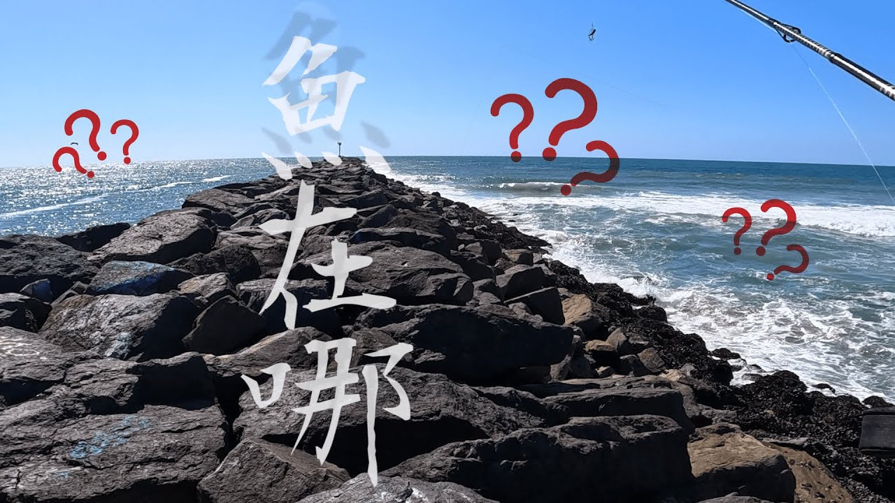 在美國打龜了一年,有人可以教我釣魚嗎? #加州 #沒魚 縮圖