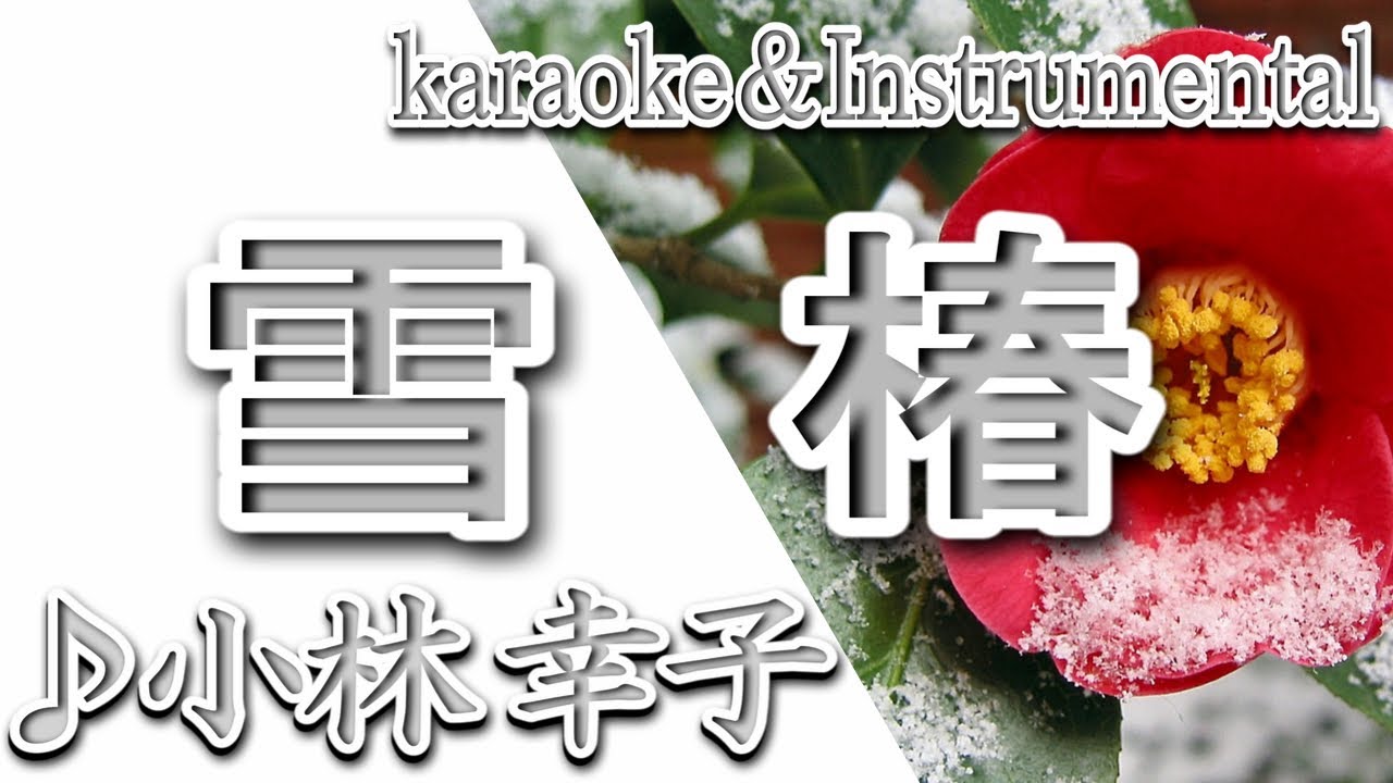 歌詞 雪 椿
