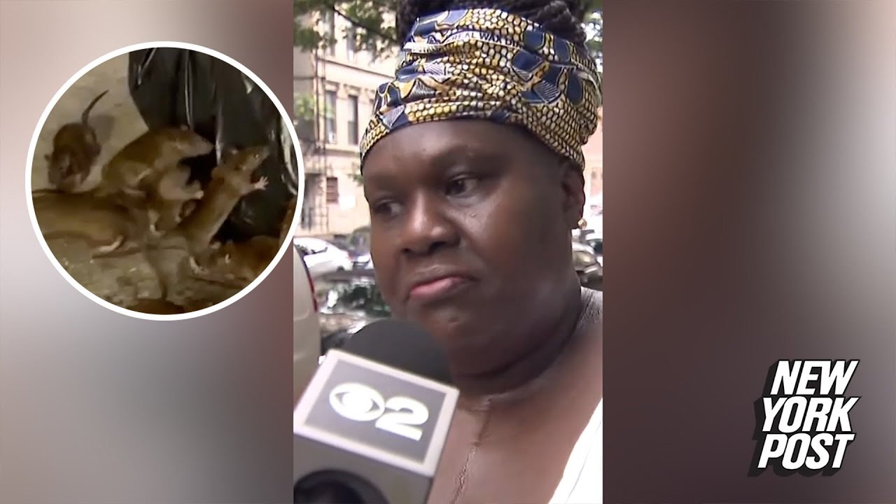 Woman sizes up NYC’s rodent problem in hilarious viral video: ‘Rats the ...