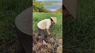 Где самая дешевая недвижимость
