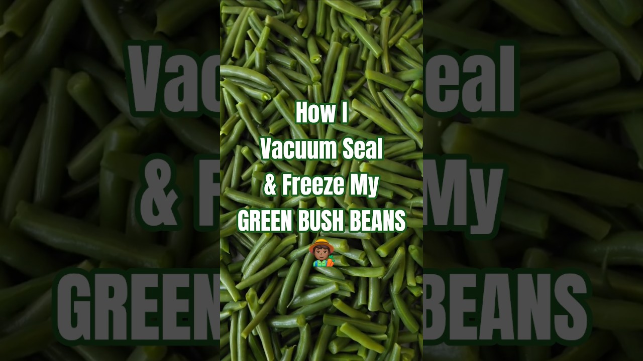 How to Prepare & Vacuum Seal Green Beans for Freezing | Garden-to-Freezer Preserving Tips